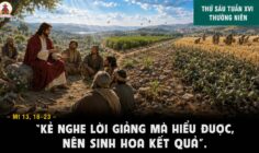 24.07.2026 – Thứ Sáu Tuần XVI Thường Niên