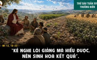 24.07.2026 – Thứ Sáu Tuần XVI Thường Niên