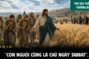 17.07.2026 – Thứ Sáu Tuần XV Thường Niên
