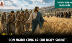 17.07.2026 – Thứ Sáu Tuần XV Thường Niên