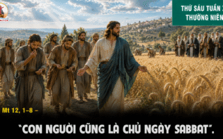 17.07.2026 – Thứ Sáu Tuần XV Thường Niên