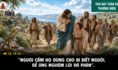18.07.2026 – Thứ Bảy Tuần XV Thường Niên