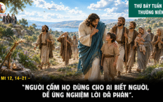 18.07.2026 – Thứ Bảy Tuần XV Thường Niên