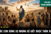 11.07.2026 – Thứ Bảy Tuần XIV Thường Niên