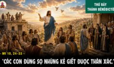 11.07.2026 – Thứ Bảy Tuần XIV Thường Niên