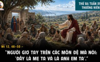 28.07.2026 – Thứ Ba Tuần XVII Thường Niên