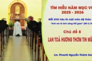 Tìm hiểu năm mục vụ 2025-2026: Mỗi Kitô hữu là một môn đệ thừa sai - Lan toả hương thơm Tin mừng