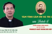 VIDEO: Phỏng vấn sau lễ Tuyên phong Chân phước cho Cha Phanxicô Xaviê Trương Bửu Diệp: Những tâm tình đặc biệt
