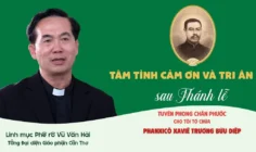 VIDEO: Phỏng vấn sau lễ Tuyên phong Chân phước cho Cha Phanxicô Xaviê Trương Bửu Diệp: Những tâm tình đặc biệt