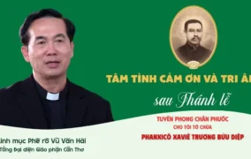 VIDEO: Phỏng vấn sau lễ Tuyên phong Chân phước cho Cha Phanxicô Xaviê Trương Bửu Diệp: Những tâm tình đặc biệt