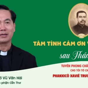 VIDEO: Phỏng vấn sau lễ Tuyên phong Chân phước cho Cha Phanxicô Xaviê Trương Bửu Diệp: Những tâm tình đặc biệt