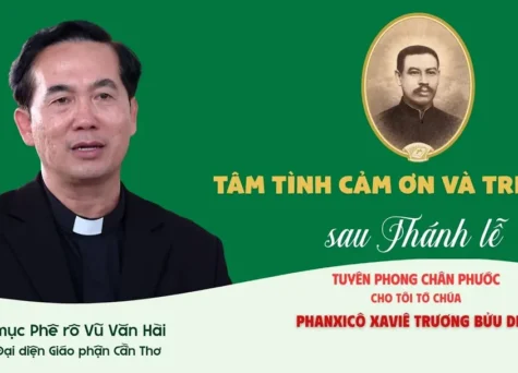 VIDEO: Phỏng vấn sau lễ Tuyên phong Chân phước cho Cha Phanxicô Xaviê Trương Bửu Diệp: Những tâm tình đặc biệt
