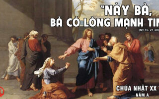 CÁC BÀI SUY NIỆM LỜI CHÚA CHÚA NHẬT XX THƯỜNG NIÊN- A