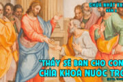 CÁC BÀI SUY NIỆM LỜI CHÚA CHÚA NHẬT XXI THƯỜNG NIÊN- A