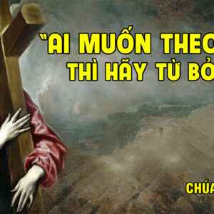 CÁC BÀI SUY NIỆM LỜI CHÚA CHÚA NHẬT XXII THƯỜNG NIÊN- A