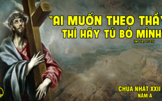 CÁC BÀI SUY NIỆM LỜI CHÚA CHÚA NHẬT XXII THƯỜNG NIÊN- A