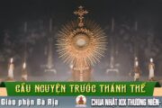 Cầu nguyện trước Thánh Thể- Ngày 09.08.2026 – Chúa Nhật XIX Thường niên – Mt 14,22-33