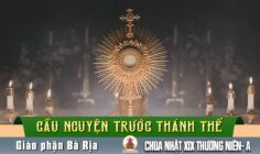 Cầu nguyện trước Thánh Thể- Ngày 09.08.2026 – Chúa Nhật XIX Thường niên – Mt 14,22-33