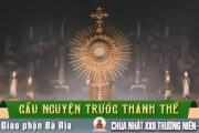 Cầu nguyện trước Thánh Thể- Ngày 30.08.2026 – Chúa Nhật XXII Thường niên – Mt 16,21-27
