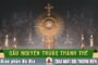 Cầu nguyện trước Thánh Thể- Ngày 30.08.2026 – Chúa Nhật XXII Thường niên – Mt 16,21-27