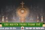 Cầu nguyện trước Thánh Thể- Ngày 09.08.2026 – Chúa Nhật XIX Thường niên – Mt 14,22-33