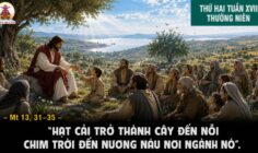 17.08.2026 – Thứ Hai Tuần XX Thường Niên