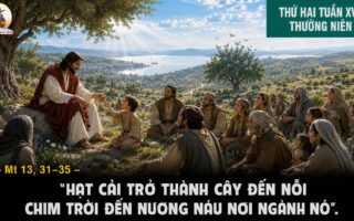 17.08.2026 – Thứ Hai Tuần XX Thường Niên
