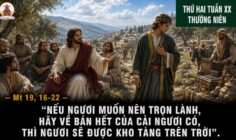 17.08.2026 – Thứ Hai Tuần XX Thường Niên