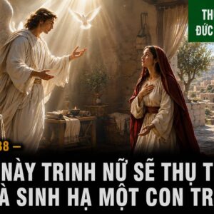22.08.2026 – Thứ Năm Tuần XX Thường Niên: Đức Maria Nữ Vương