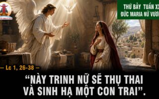 22.08.2026 – Thứ Năm Tuần XX Thường Niên: Đức Maria Nữ Vương