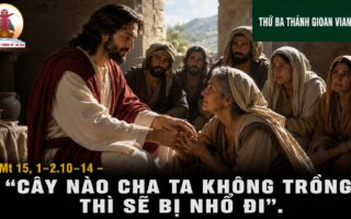 04.08.2026 – Thứ Ba Tuần XVIII Thường Niên: Thánh Gioan Vianney