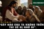 04.08.2026 – Thứ Ba Tuần XVIII Thường Niên: Thánh Gioan Vianney