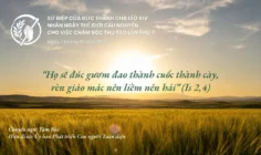 Sứ điệp Đức Thánh cha nhân ngày Thế giới Cầu nguyện cho việc Chăm sóc Thụ tạo năm 2026: “Họ sẽ đúc gươm đao thành cuốc thành cày, rèn giáo mác nên liềm nên hái”
