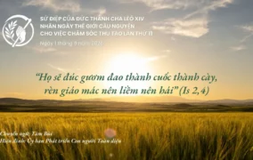 Sứ điệp Đức Thánh cha nhân ngày Thế giới Cầu nguyện cho việc Chăm sóc Thụ tạo năm 2026: “Họ sẽ đúc gươm đao thành cuốc thành cày, rèn giáo mác nên liềm nên hái”
