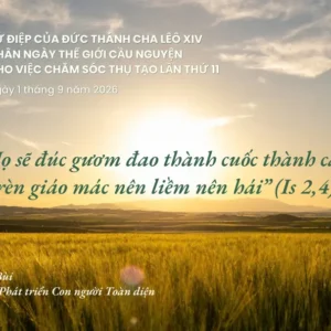 Sứ điệp Đức Thánh cha nhân ngày Thế giới Cầu nguyện cho việc Chăm sóc Thụ tạo năm 2026: “Họ sẽ đúc gươm đao thành cuốc thành cày, rèn giáo mác nên liềm nên hái”
