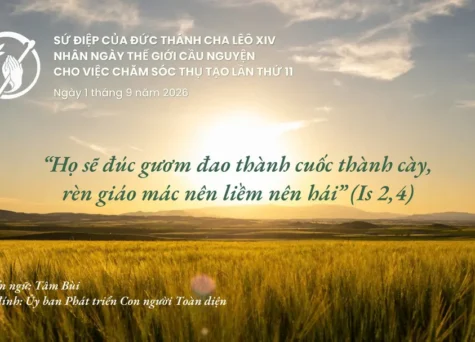Sứ điệp Đức Thánh cha nhân ngày Thế giới Cầu nguyện cho việc Chăm sóc Thụ tạo năm 2026: “Họ sẽ đúc gươm đao thành cuốc thành cày, rèn giáo mác nên liềm nên hái”