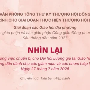 Nhìn lại - Tài liệu đồng hành trong việc chuẩn bị cho Đại hội Lượng giá tại Giáo hội địa phương