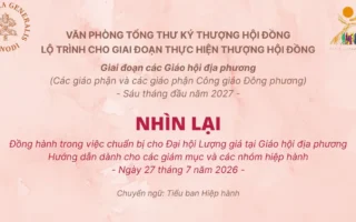 Nhìn lại - Tài liệu đồng hành trong việc chuẩn bị cho Đại hội Lượng giá tại Giáo hội địa phương