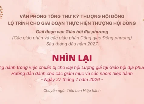 Nhìn lại - Tài liệu đồng hành trong việc chuẩn bị cho Đại hội Lượng giá tại Giáo hội địa phương