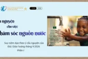 Cầu nguyện cho việc chăm sóc nguồn nước - Suy niệm dựa theo ý cầu nguyện của Đức Giáo hoàng tháng 9/2026 - Phần I