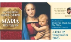 154 cuộc hiện ra của Đức Trinh Nữ Maria trong bộ sưu tập do Thánh Carlo Acutis khởi xướng