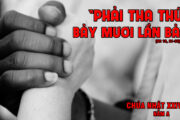 CÁC BÀI SUY NIỆM LỜI CHÚA CHÚA NHẬT XXIV THƯỜNG NIÊN- A