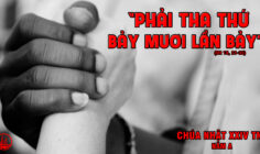 CÁC BÀI SUY NIỆM LỜI CHÚA CHÚA NHẬT XXIV THƯỜNG NIÊN- A