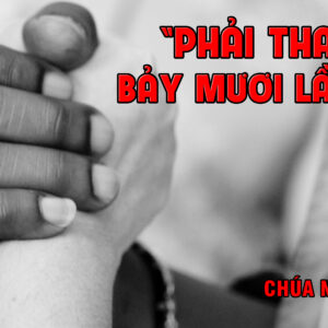 CÁC BÀI SUY NIỆM LỜI CHÚA CHÚA NHẬT XXIV THƯỜNG NIÊN- A