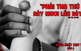 CÁC BÀI SUY NIỆM LỜI CHÚA CHÚA NHẬT XXIV THƯỜNG NIÊN- A