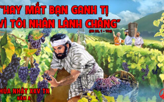 CÁC BÀI SUY NIỆM LỜI CHÚA CHÚA NHẬT XXV THƯỜNG NIÊN- A