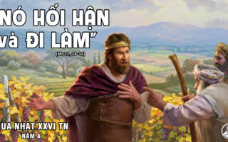 CÁC BÀI SUY NIỆM LỜI CHÚA CHÚA NHẬT XXVI THƯỜNG NIÊN- A