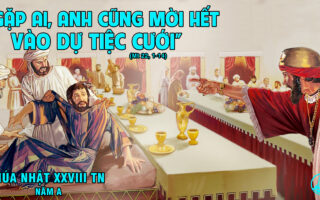 CÁC BÀI SUY NIỆM LỜI CHÚA CHÚA NHẬT XXVIII THƯỜNG NIÊN- A