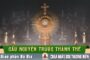 Cầu nguyện trước Thánh Thể- Ngày 20.09.2026 – Chúa Nhật XXV Thường niên – Mt 20,1-16a