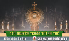 Cầu nguyện trước Thánh Thể- Ngày 04.10.2026 – Lễ Đức Mẹ Mân Côi – Lc 1,26-38